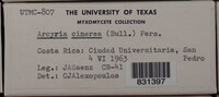 Image Associated With the Occurence